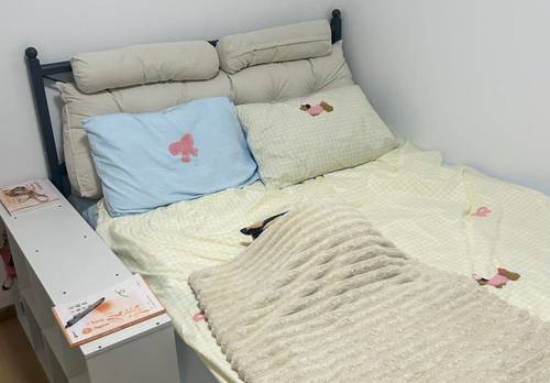 通州 大马庄新园