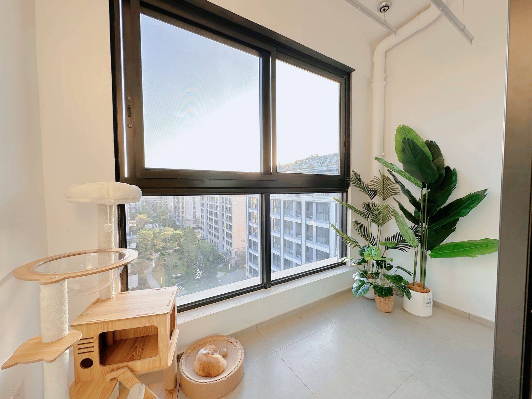 川菜不加辣整租房源3