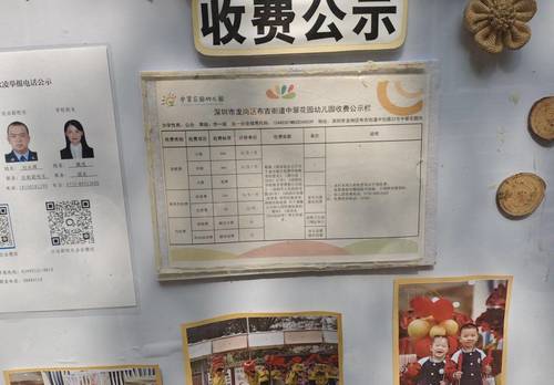 龙岗 中翠花园-峰之畔