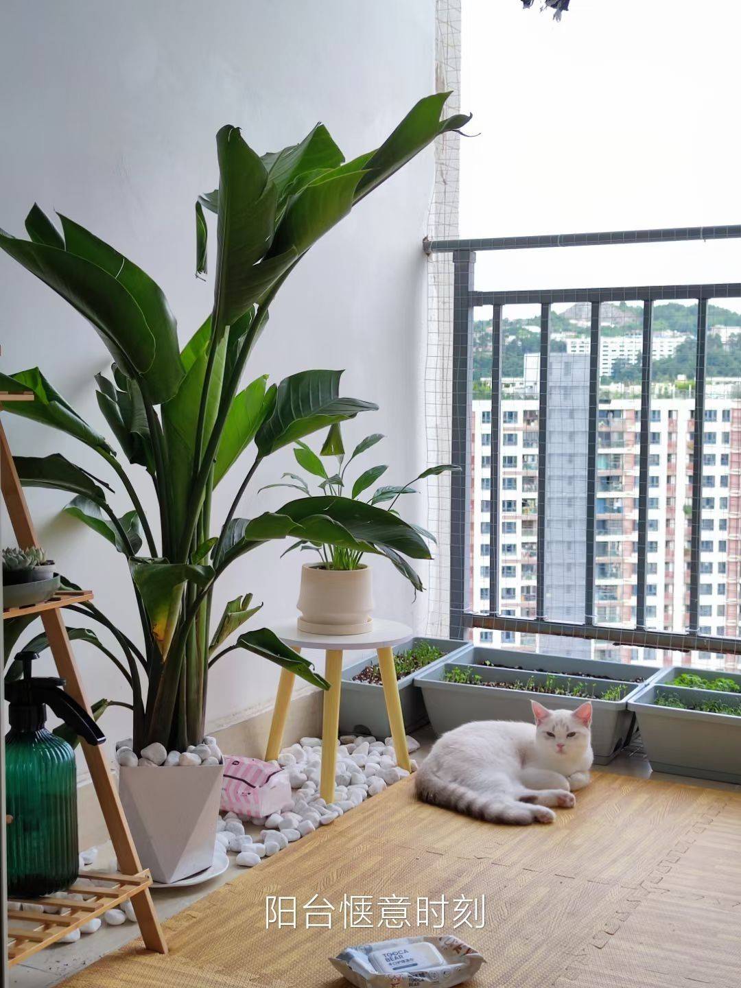 云岩 渔安新城E组团-3栋