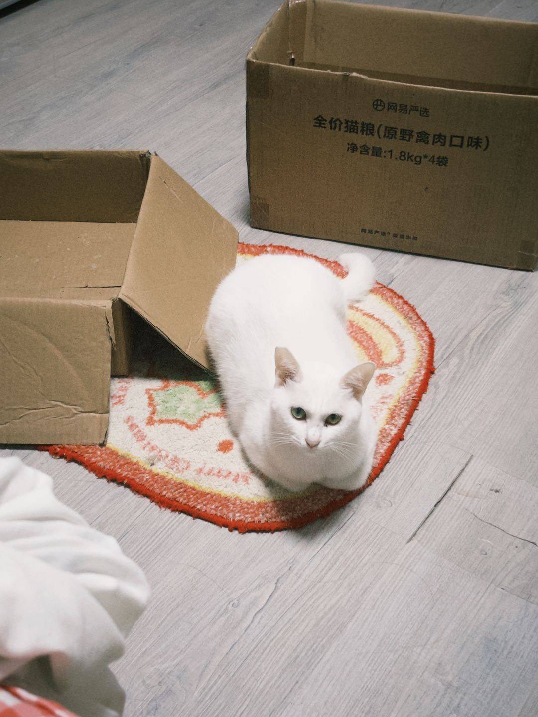 小鱼整租房源3