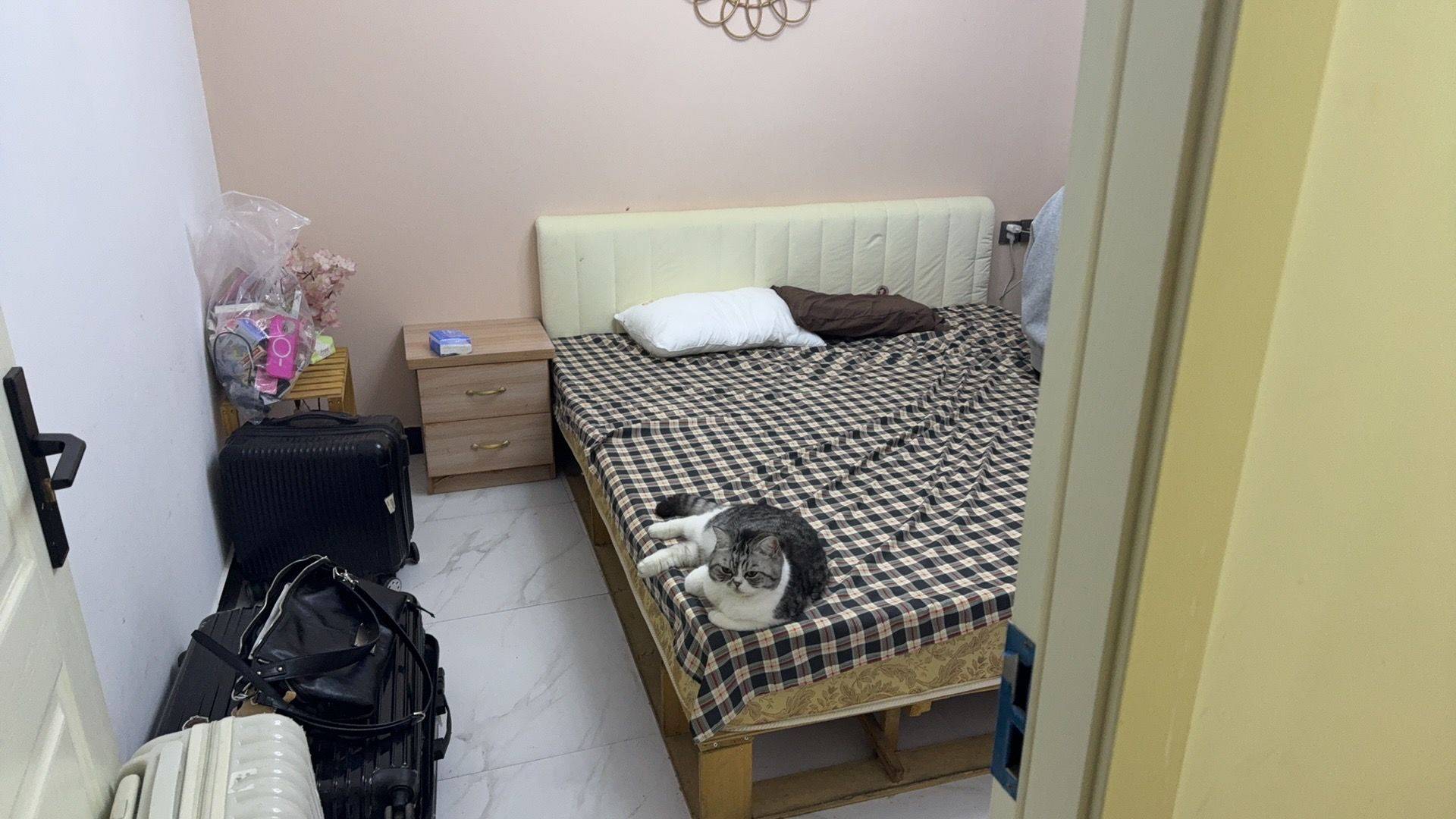 福州 倉山區 | 联建新苑4区_5