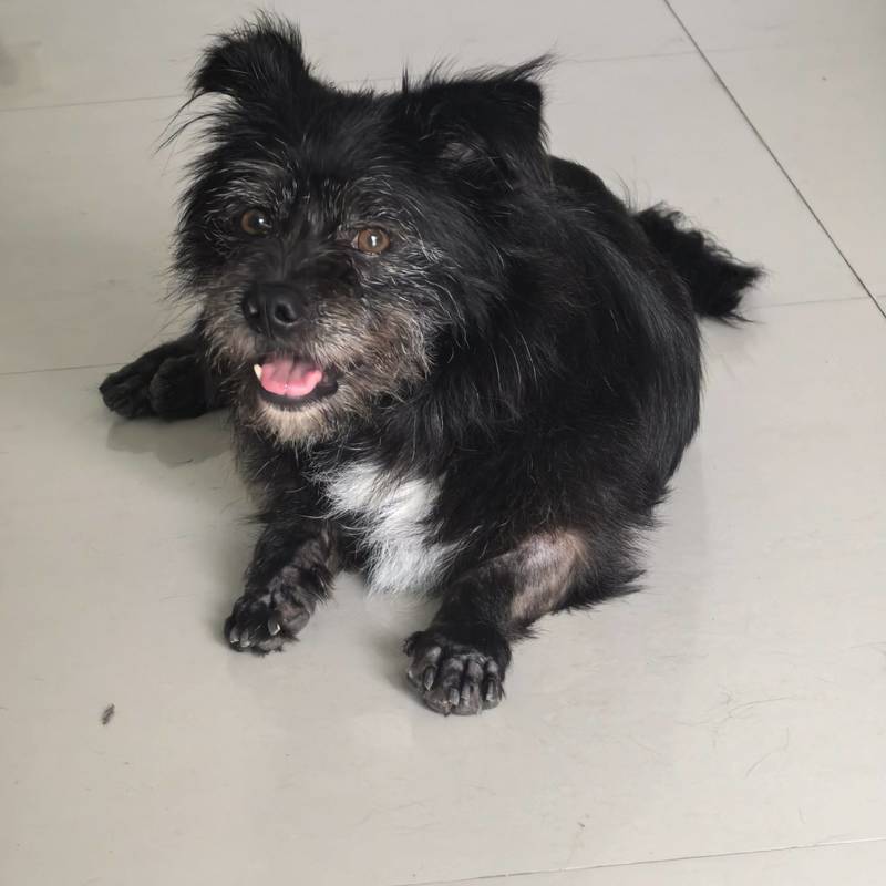 深圳 龙岗 | 坂田华为基地马蹄山二区_7