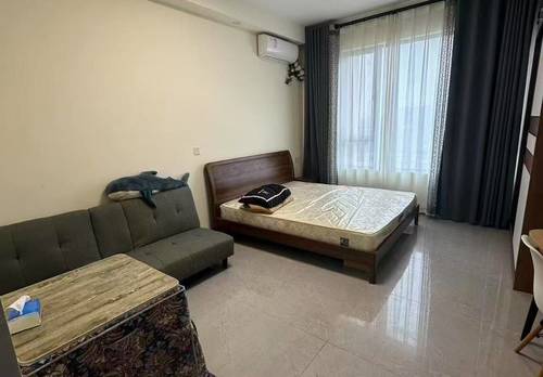 岳麓 振业城三期C区S9栋