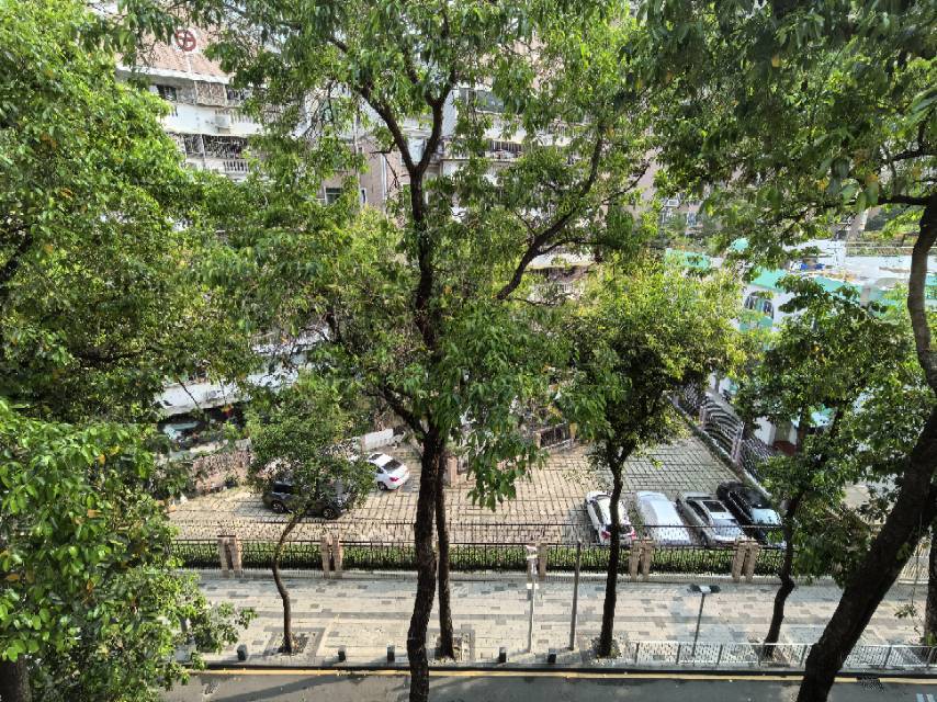 深圳 福田 | 绿洲花园_3