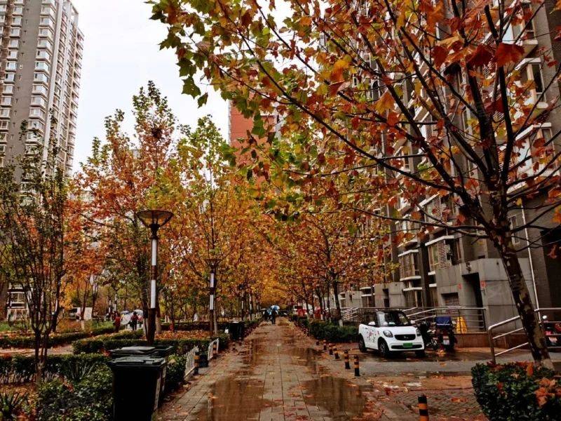 北京 石景山 | 远洋山水-北区_7