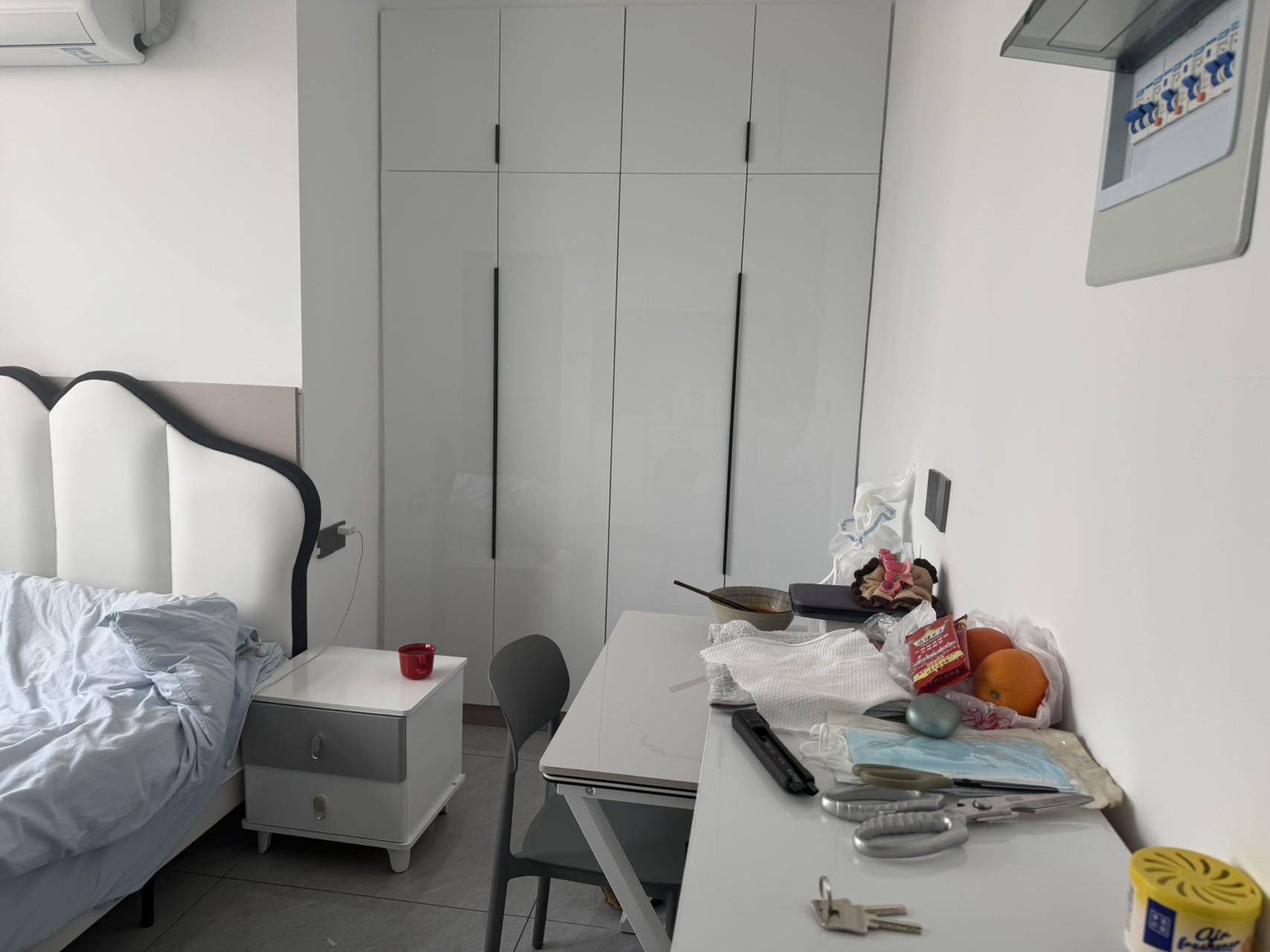 蘇州 工業園 | 中新领袖经典_2