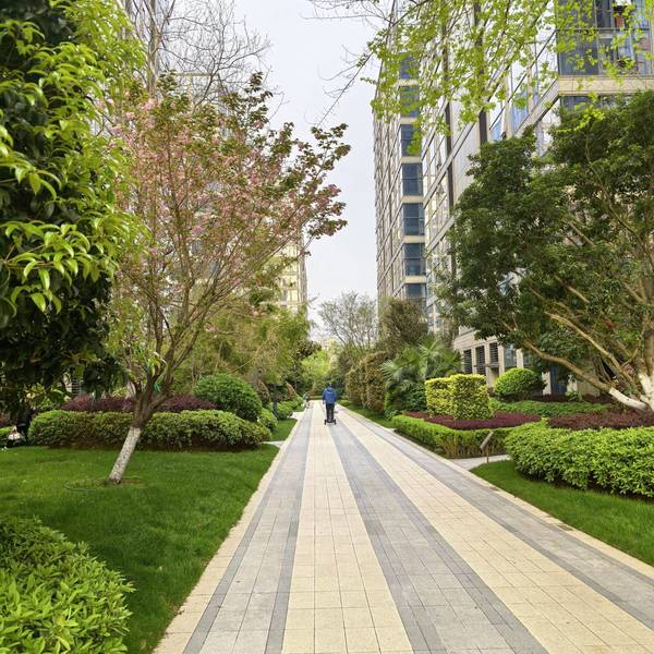 传智大师整租房源2