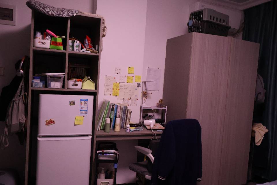 深圳 龙岗 | 宝丽铂金公寓_4