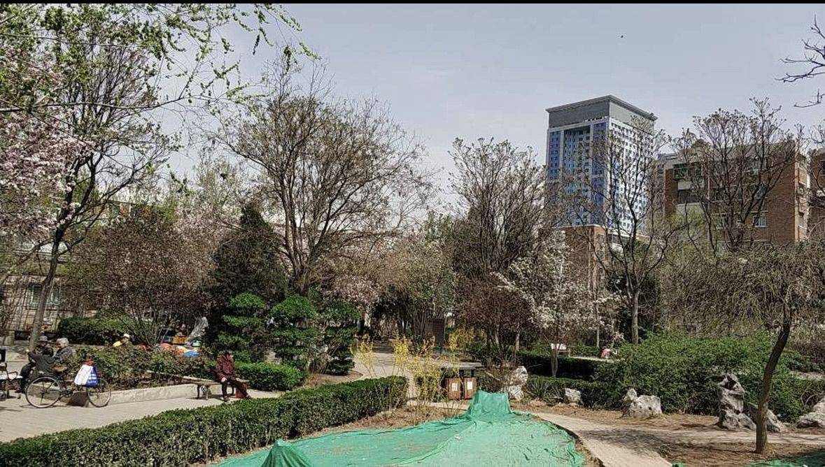 天津 南開 | 光湖里_4