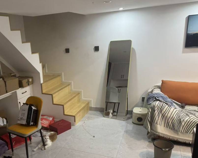 成都 武侯 | 正成新天地-A区_6