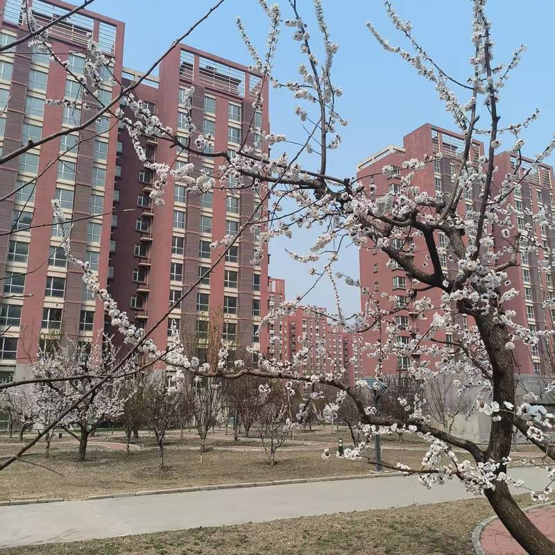 北京 顺义 | 国测8号_4