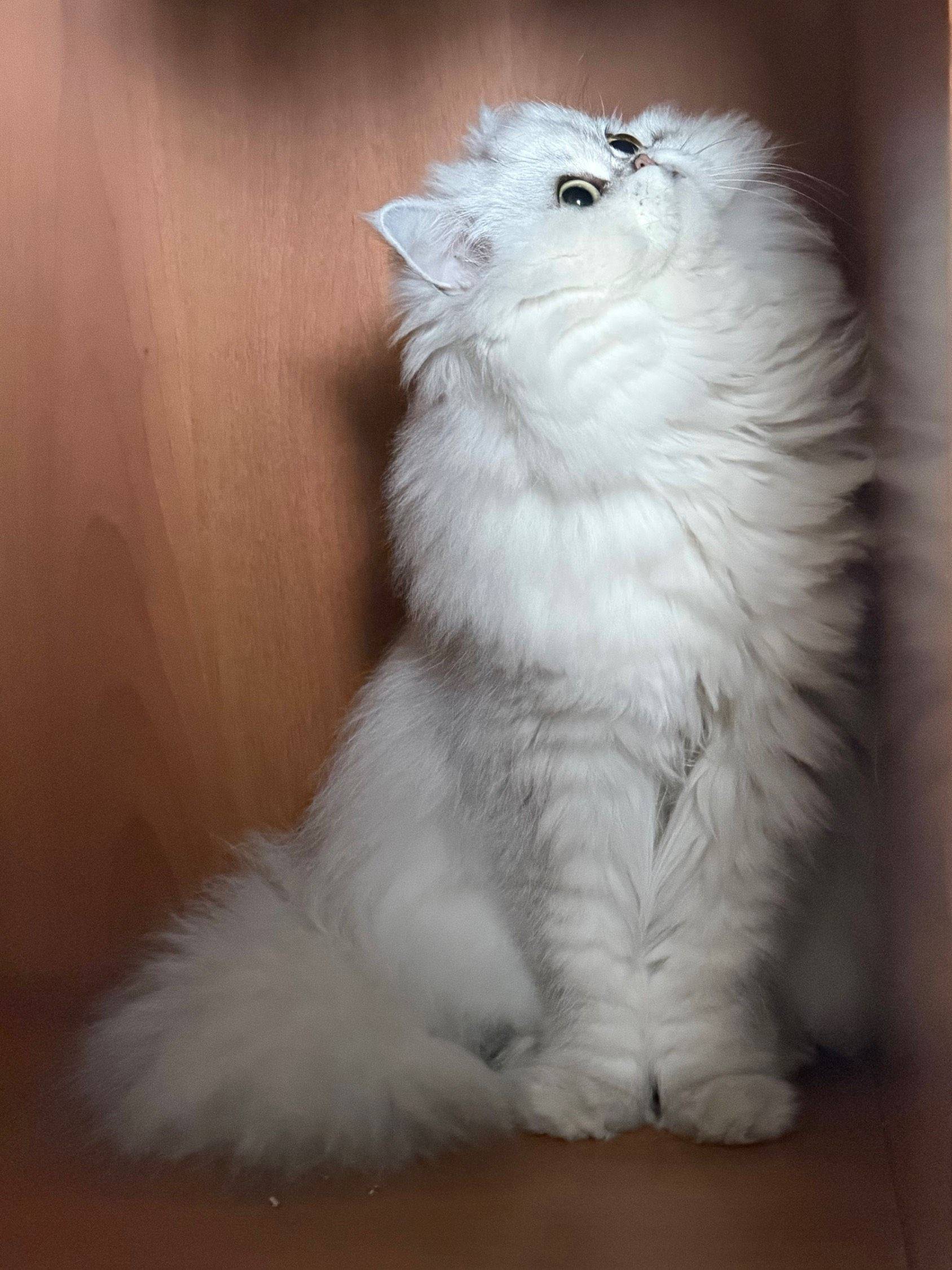 廣州 天河 | 天河南一路，正佳广场附近_7