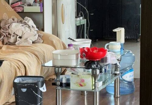 大東 新光红翔小区