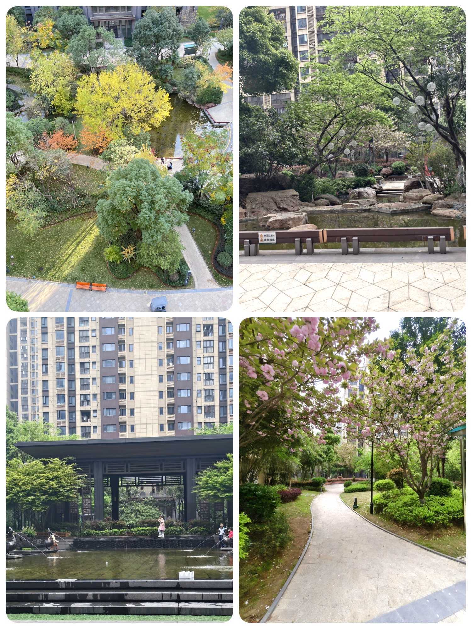 洪山 保利时代天悦