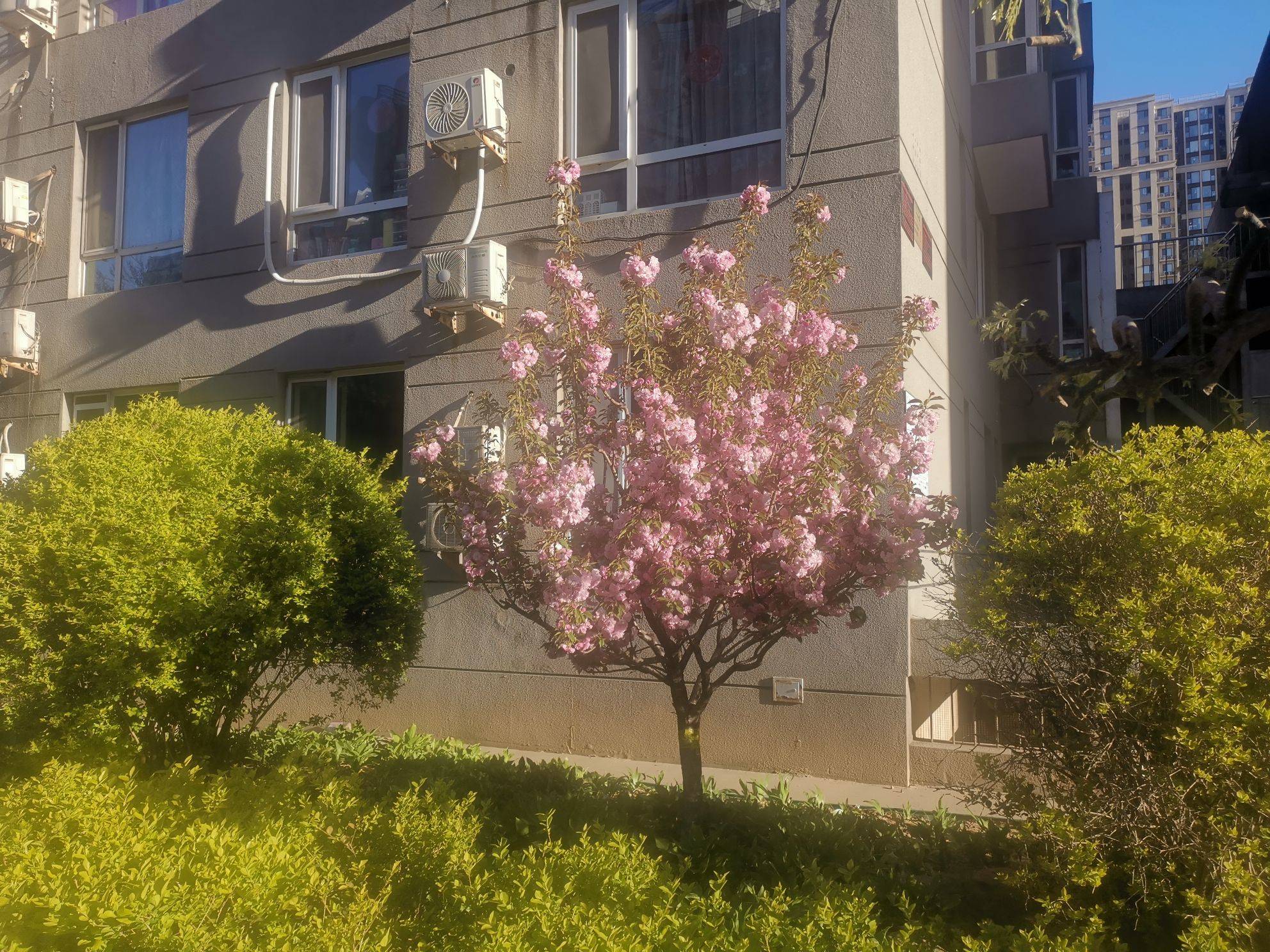 北京 朝陽 | 国锐易构空间_5