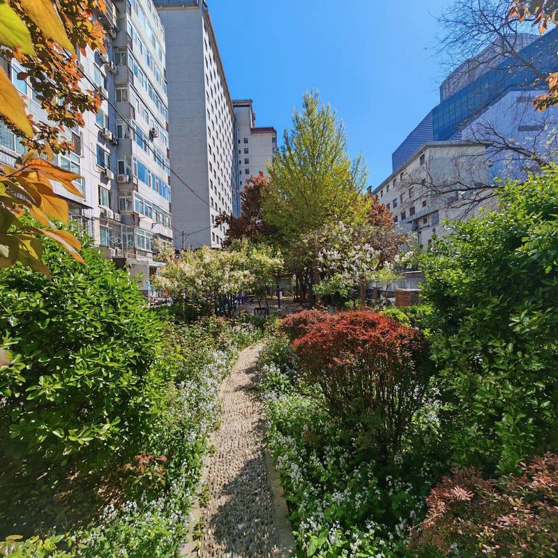 北京 东城 | 崇西小区_7