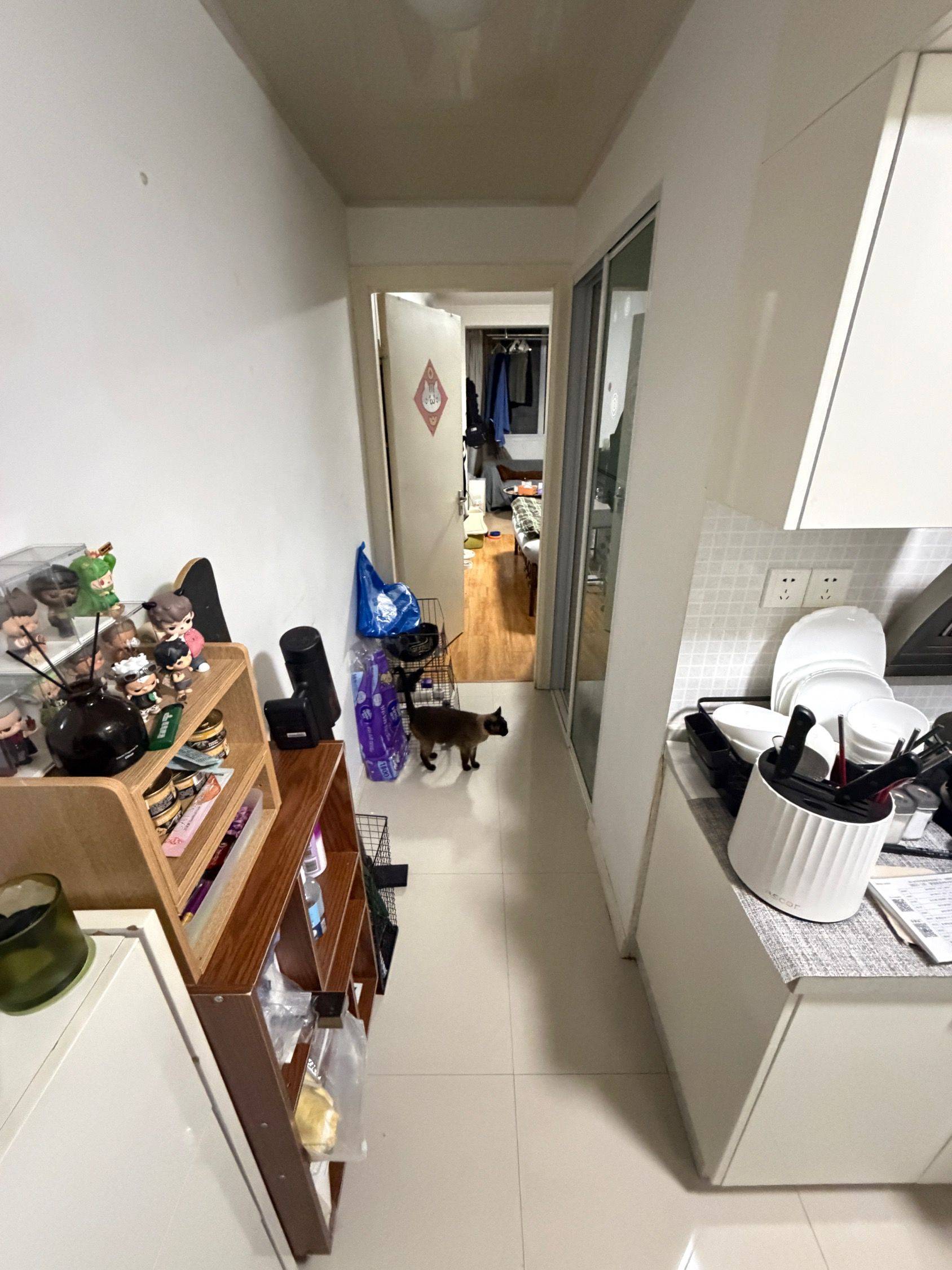 上海 长宁 | 万村社区_5