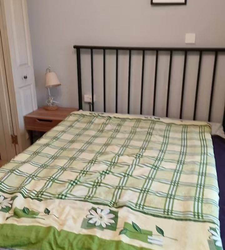 上海 閔行 | 南方新村_6