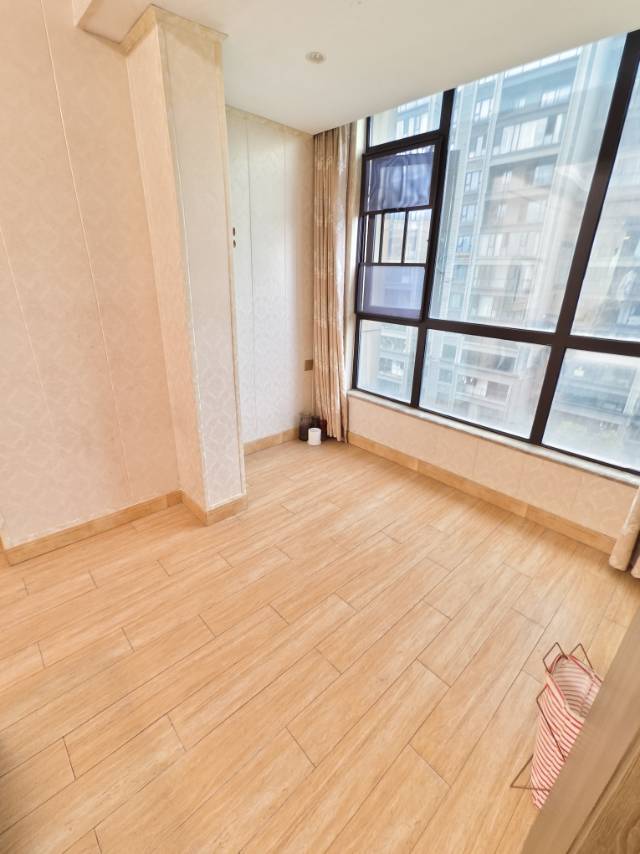 長沙 岳麓 | 梅溪湖步步高公寓_4