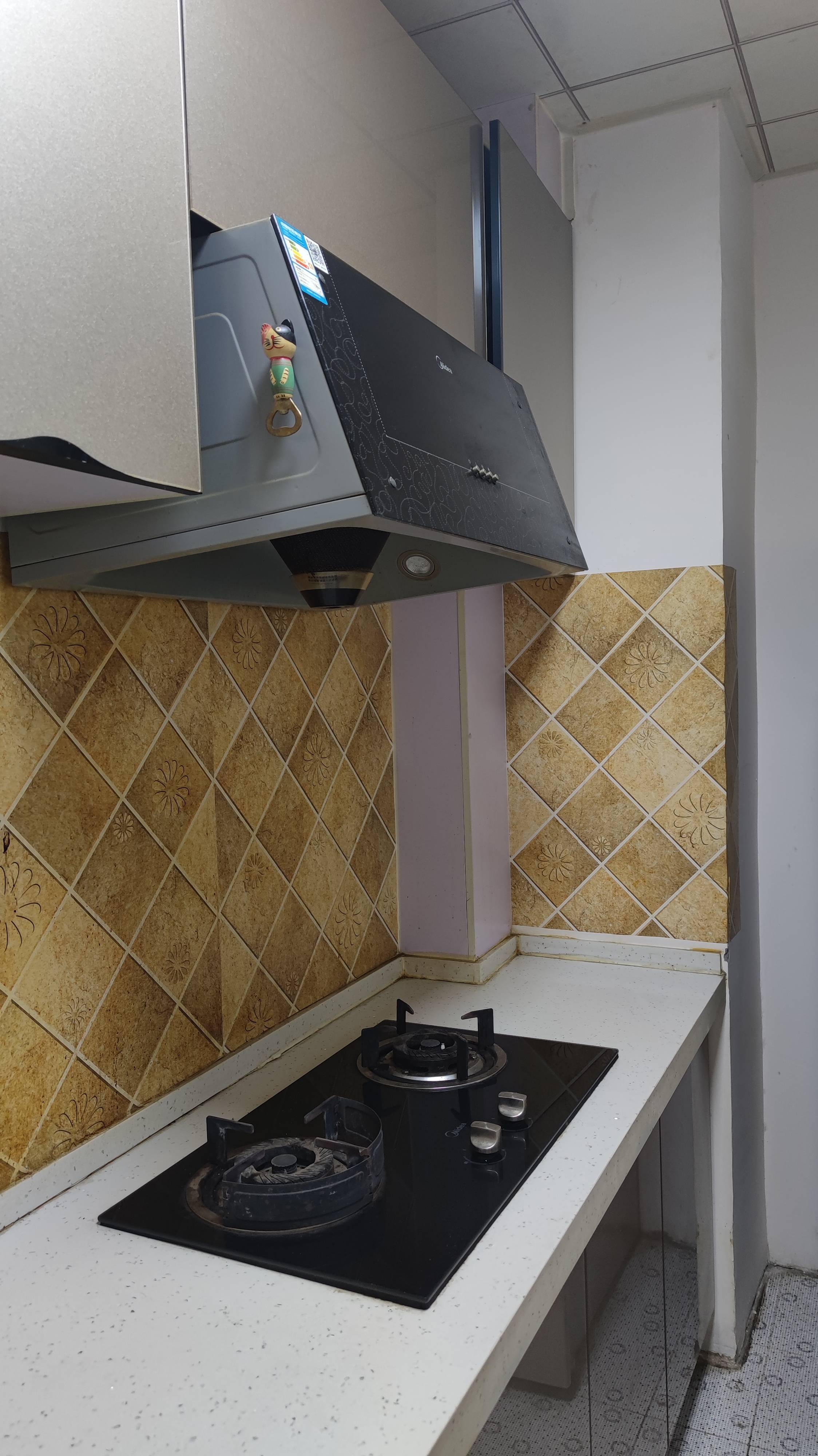 Tianjin Hongqiao | 雅和园_5