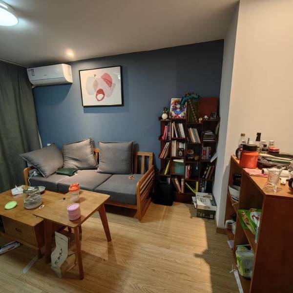 巴别塔整租房源1