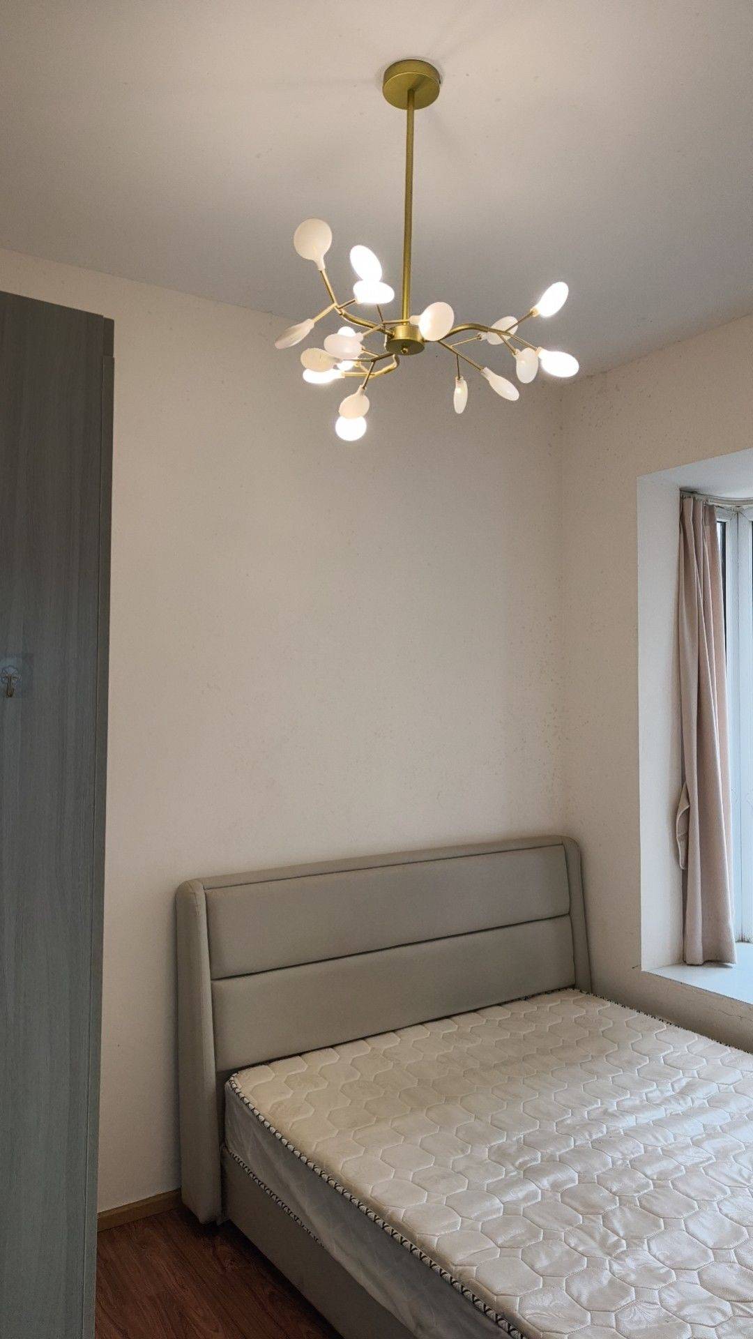 霞霞🌸整租房源2