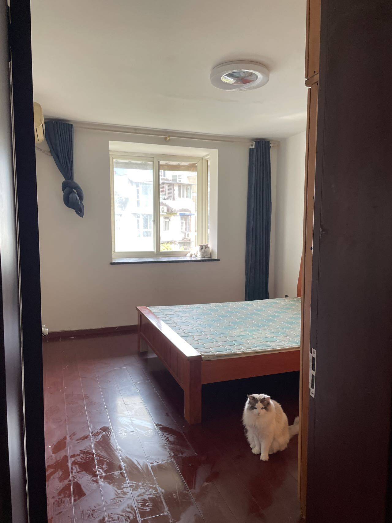 成都 金牛 | 欧美苑_4