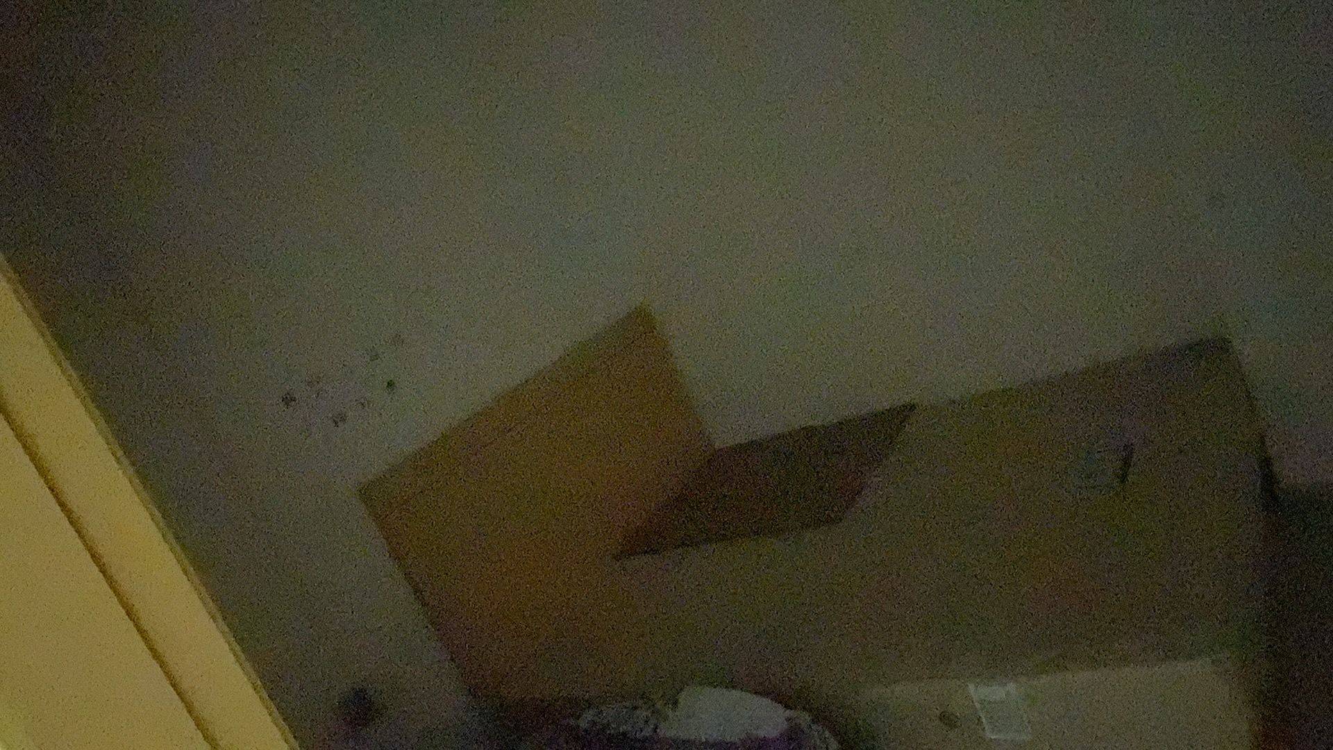 陈憨憨整租房源2