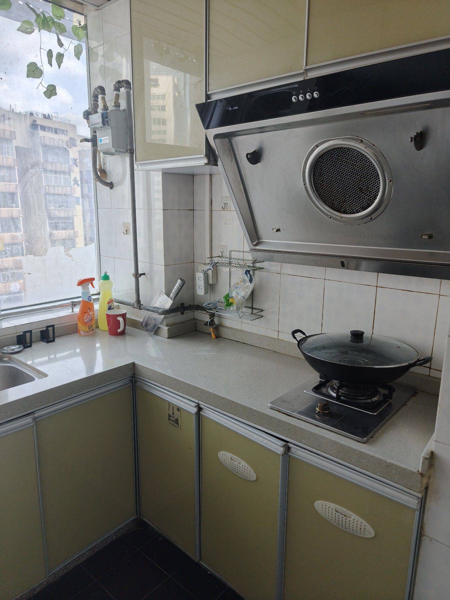 Shenzhen Luohu | 庐山花园_6