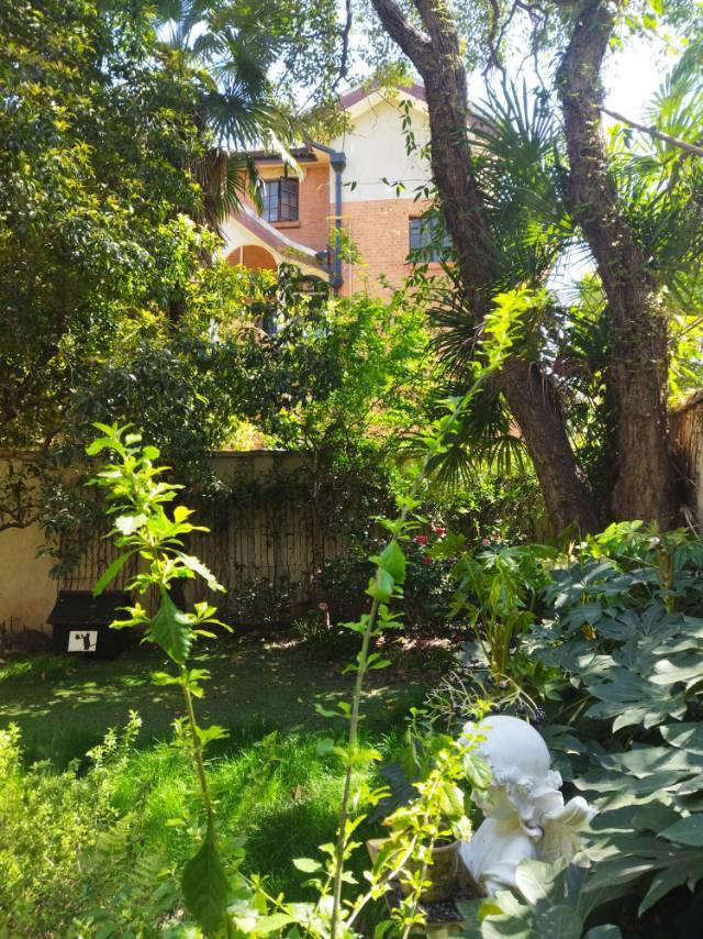 上海 徐汇 | 武康路280弄小区_5