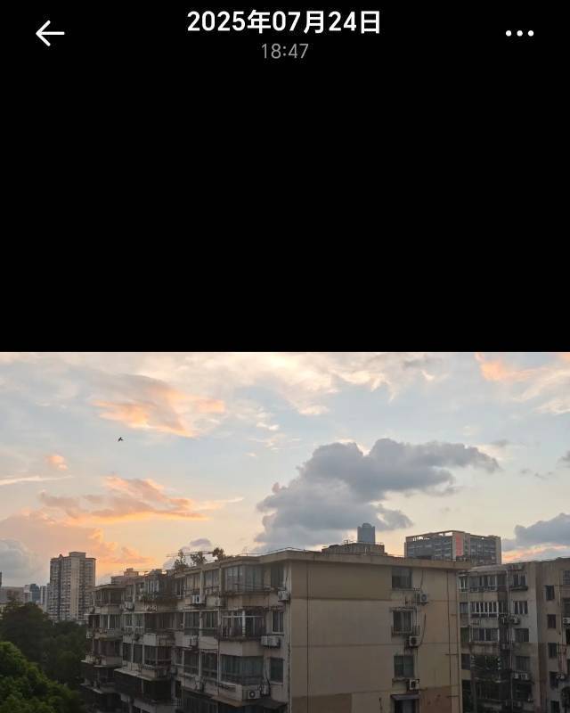 Shanghai Xuhui | 东安花苑_3