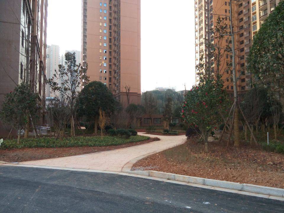长沙 雨花 | 丰升德润小区北区-17栋_8