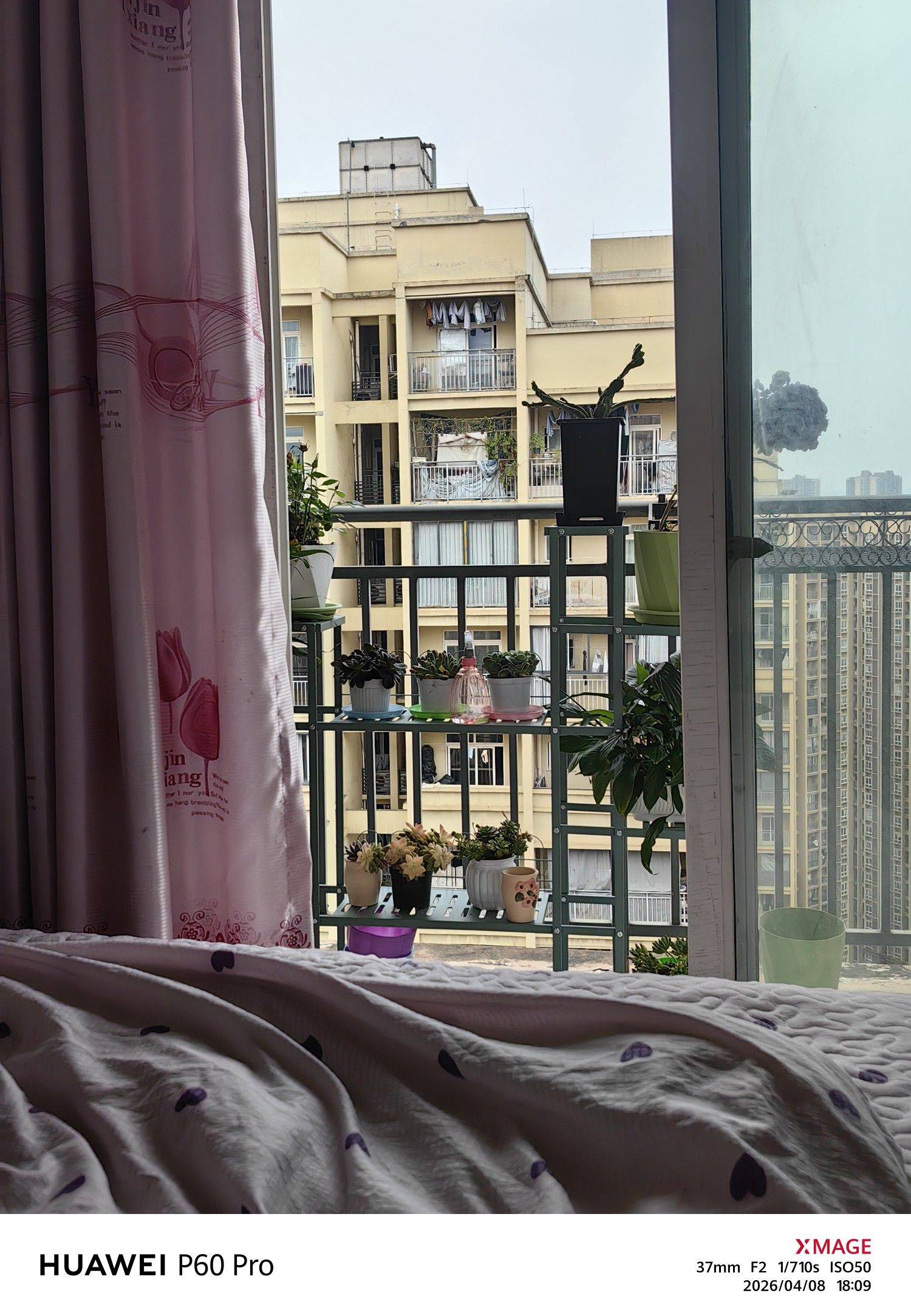 大渡口 半岛逸景乐园