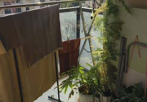 龙湾 瑶溪住宅区一组团