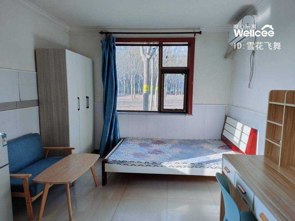 雪花飞舞整租房源2