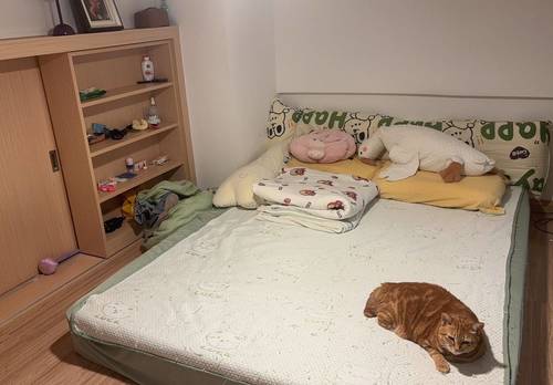 宝安 碧桂园凤凰智谷-C座