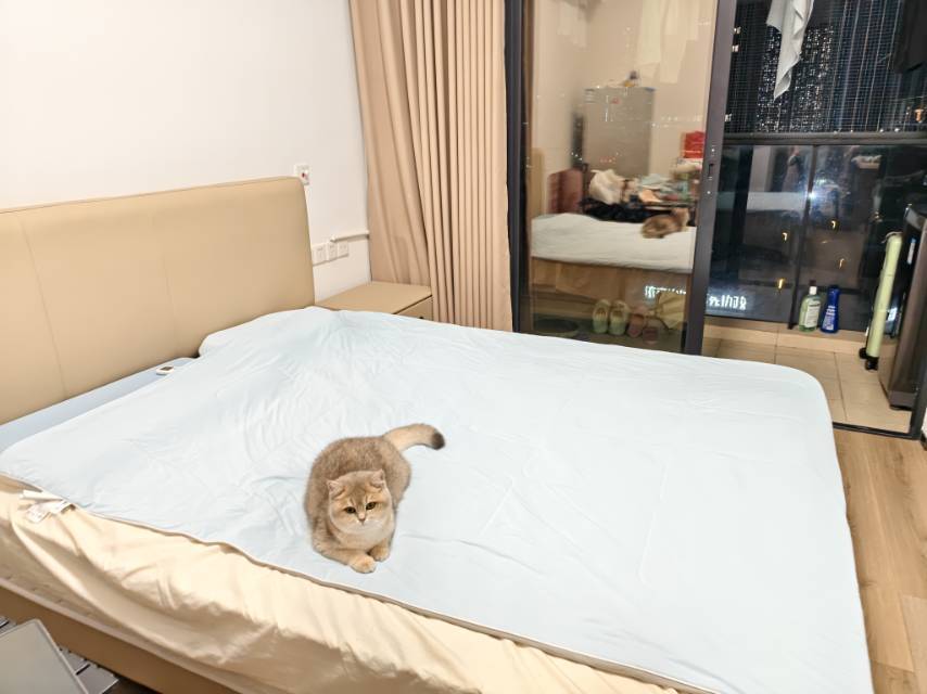 深圳 光明 | 尚智科技园-2C栋_5