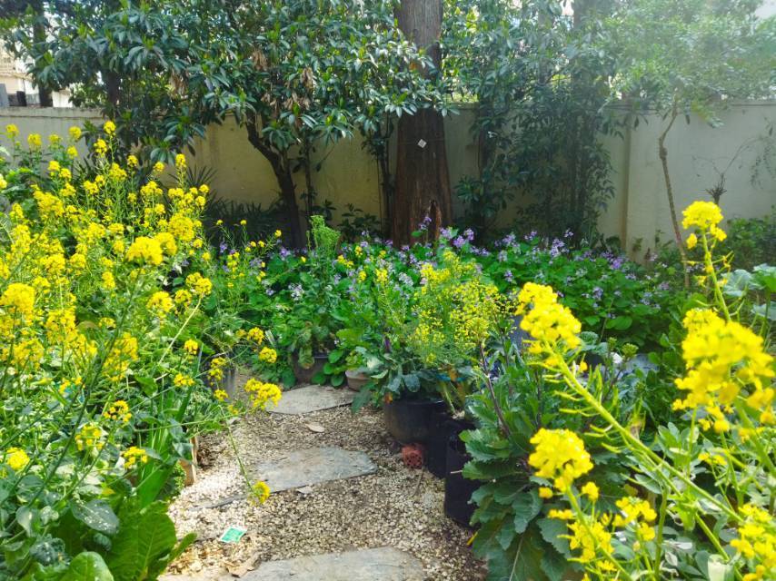 上海 徐汇 | 武康路280弄小区_8