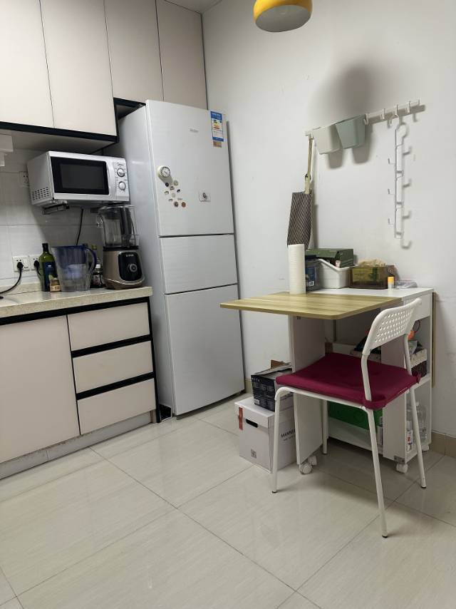 Shanghai Pudong | 临沂六村社区_5