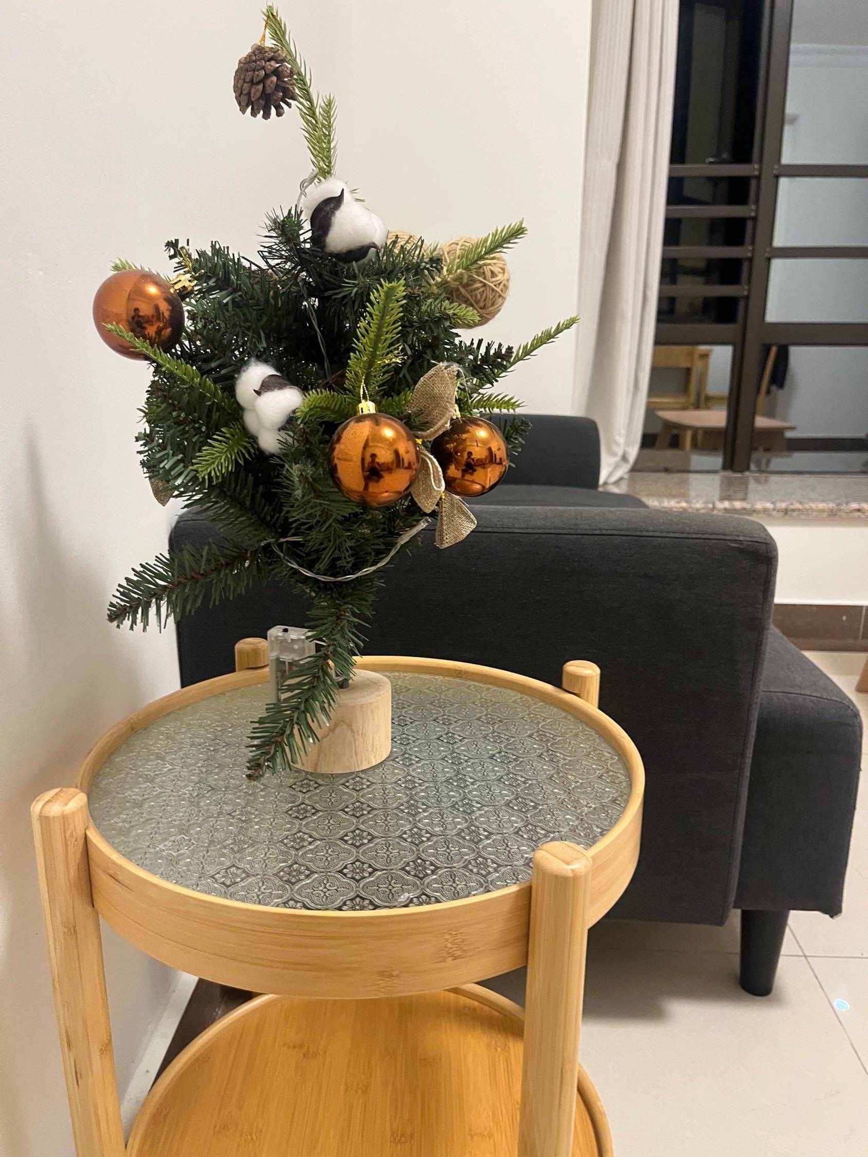 广州 海珠 | 滨江瑞城_6