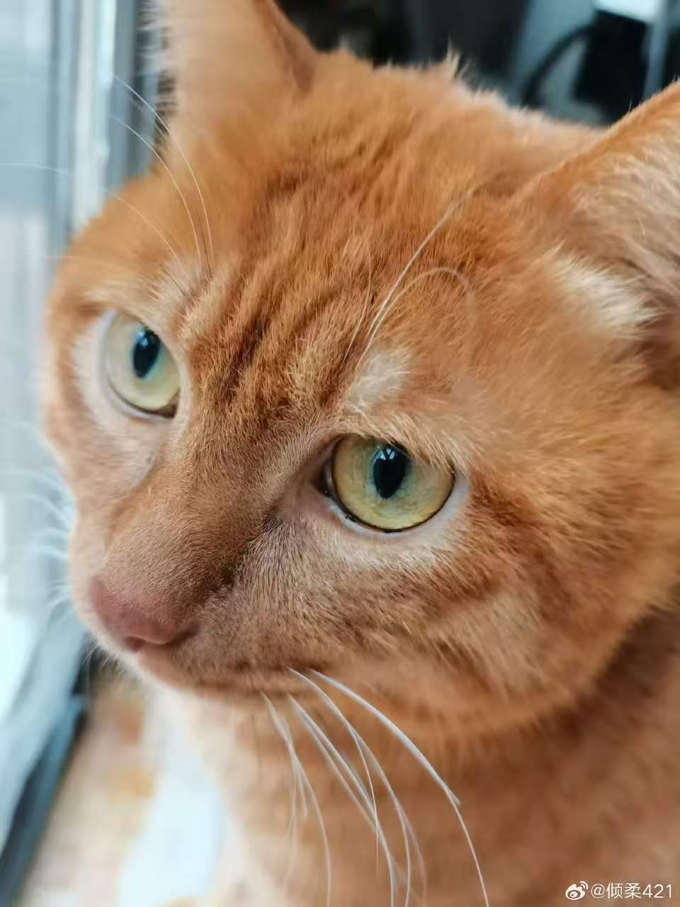 南京 江宁 | 碧水湾-1幢_5