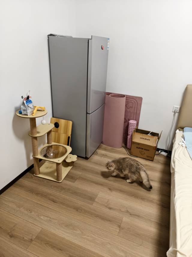 深圳 光明 | 尚智科技园-2C栋_3