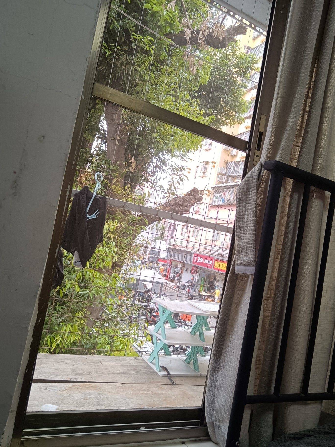 深圳 南山 | 怡海花园_7