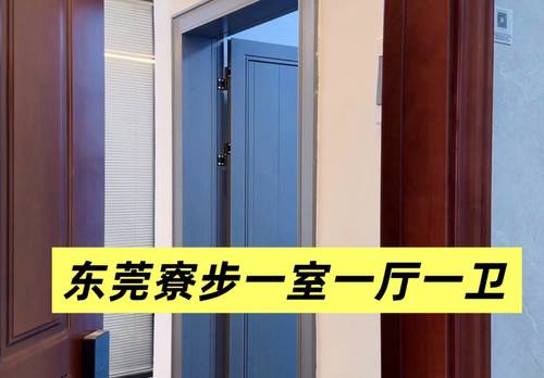 寮步 泛寓服务型精选公寓