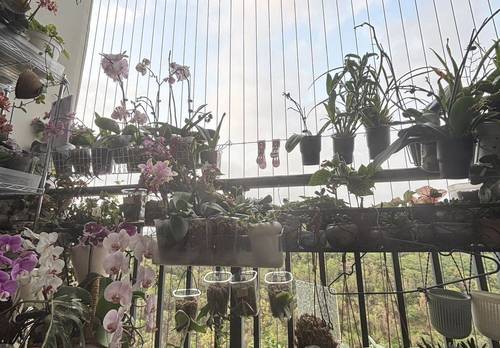 宝安 碧桂园凤凰智谷-C座