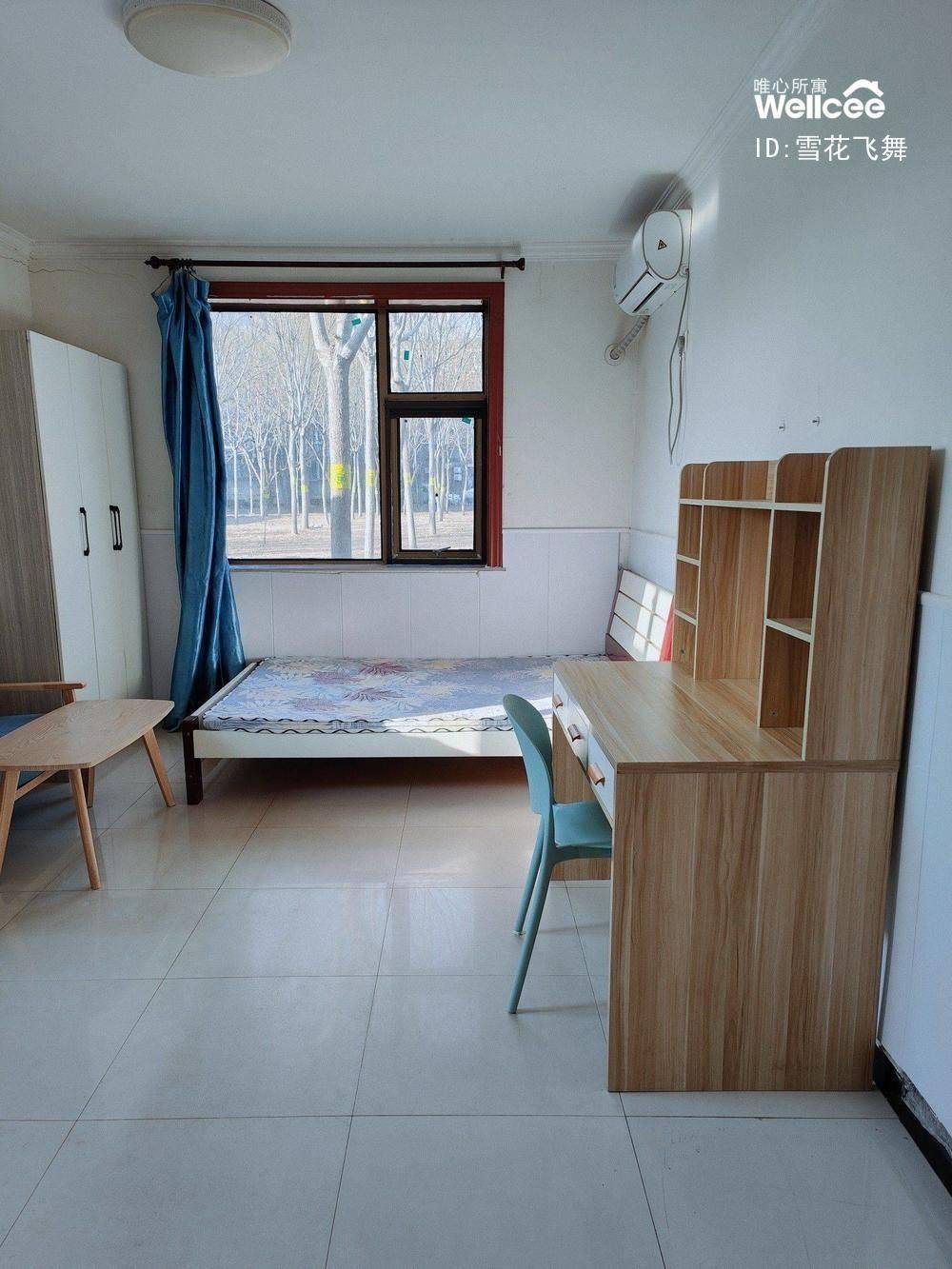 雪花飞舞整租房源3