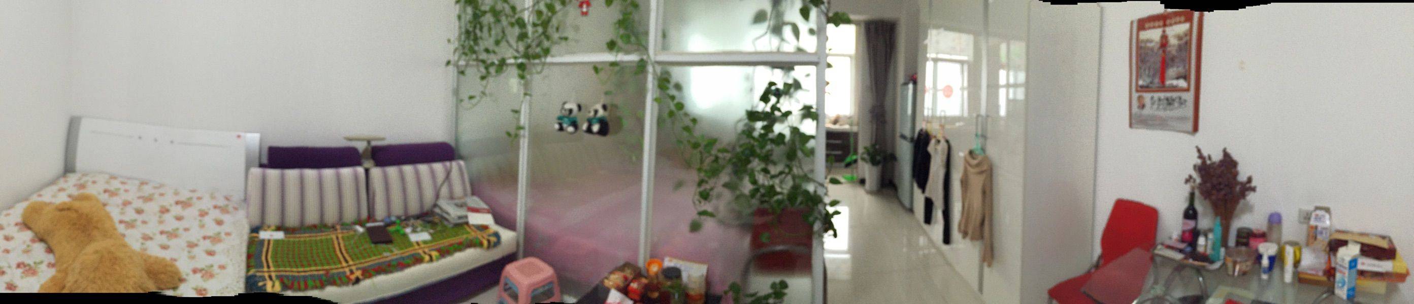 碑林 西安瑞鑫摩天城