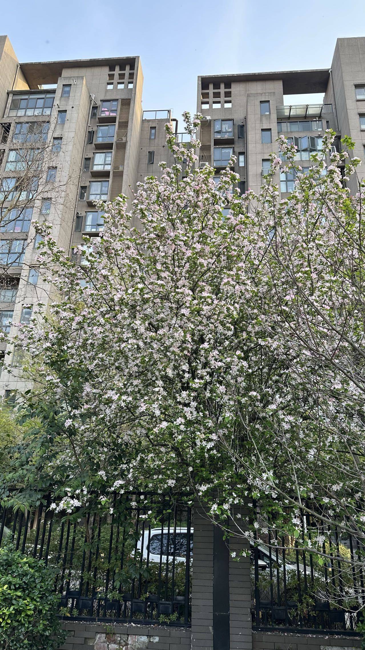 浦东 锦绣天第花园-50号