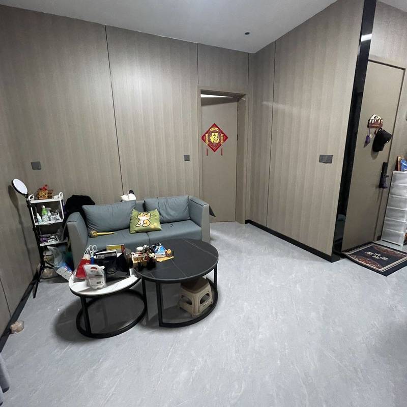 東莞 南城 | 下坝_3